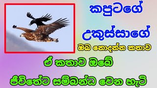 කපුටාගේ සහ උකුස්සාගේ කතාව | අපේ ජීවිතයට සම්බන්ධ වෙන හැටි මෙන්න|Motivation speech |Entharrino |