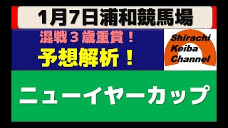 【競馬予想】ニューイヤーカップ2021年1月7日 浦和競馬場