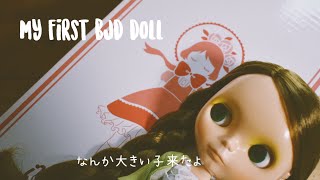 【imda】初めてのBJDお迎え.*･ﾟ【キャストドール】