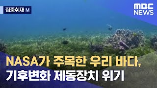 [집중취재M] NASA가 주목한 우리 바다, 기후변화 제동장치 위기 (2022.09.12/뉴스데스크/MBC)