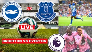 Brighton vs Everton Live Stream Premier League Football EPL Match Score Commentary Highlights Vivo