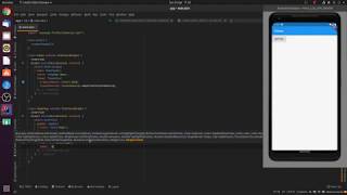 RaisedButton