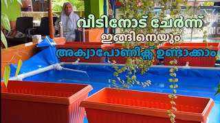 വീടുണ്ടെങ്കിൽ മുറ്റത്തൊരു അക്വാപോണിക്സ് നല്ലതാണ്