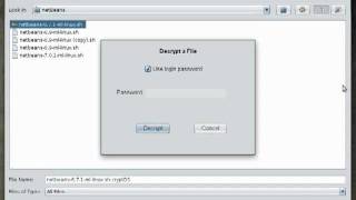 CryptDS Personal Version 2 File Encryption Application