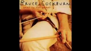 Bruce Cockburn - Someone I Used To Love