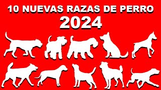 🐾  10 NUEVAS RAZAS de PERRO (2024)  🐾