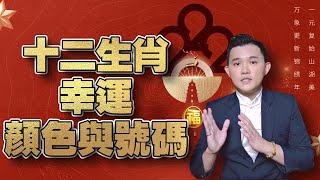 幸運顏色和幸運號碼 | 2022年十二生肖開運法 | 壬寅年的運勢