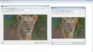 Object Detection Matlab Code 3D Projects