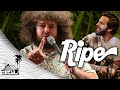 Ripe - Settling (Live Music) | Sugarshack Sessions