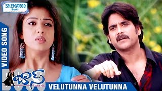 Boss I Love You Telugu Movie Songs | Velutunna Velutunna Full Video Song | Nagarjuna | Nayanthara