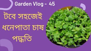 ছাদ বাগানে খুব সহজেই ধনেপাতা চাষ পদ্ধতি |very easy way to grow coriander leaves in Rooftop  garden |