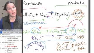 02 7 Acids and bases