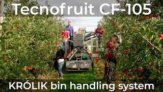 KRÓLIK bin handling system with Darwin TECNOFRUIT CF-105 | Z-4 bin shuttle trailer