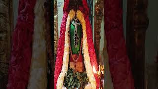 1200 సంవత్సరాల పురాతనమైన మురుగన్ ఆలయం | Vayalur Murugam Temples | Lord Subramanya Swamy #ytshorts