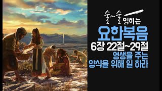 [개혁주의] 요한복음6장22-29절[영생을 주는 양식을 위해 일 하라] ㅣ문맥 성경공부