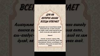 Самые сильные дуа на который ответит Аллах #исламнұр #islam