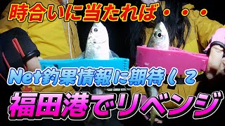 2024.12.06 福田港でアジングリベンジ