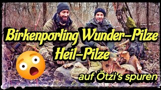 Birkenporling auf Ötzi's spuren | Wunder-Pilz - Heil-Pilz, die Kraft der Natur 🍄🌲