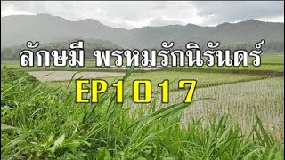 ลักษมีพรหมรักนิรันดร์EP1017(ดาดี้ตำหนินีไลม์/ Bhagya Lakshmiสปอย)