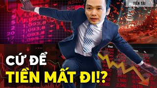 KHÔNG SỢ, cũng ĐỪNG THAM LAM khi thị trường sụp đổ | Huskywannafly | Tiền tài
