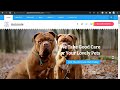 How to create a Transparent Header Menu in Wordpress with Elementor Pro