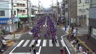 【公式】東京花火2015”藤結び”　高知よさこい2日目　愛宕会場