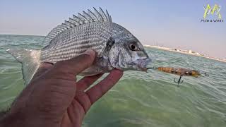 Mud & Waves Team- Ultra Light Fishing Trip in Kuwait July-2023 رحلة دفار في دولة الكويت منطقة الدوحة