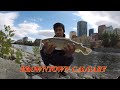 Fishing the BOW RIVER, DOWNTOWN CALGARY