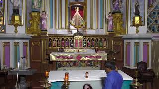 ༺♰༻ 🅛🅘🅥🅔 𝑽𝒂𝒅𝒂𝒗𝒂𝒊 𝑷𝒂𝒓𝒂𝒍𝒐𝒈𝒂 𝑴𝒂𝒕𝒉𝒂 - Daily Mass in Tamil - Jan 25 - திருப்பலி