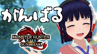 伏魔響命ハンマーや雷チャアクの練習をしたい※ネタバレ注意【Vtuber / MHサンブレイク】