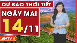 Dự báo thời tiết ngày mai 14/11: Hà Nội mưa rét, TP. HCM vẫn nắng | ANTV