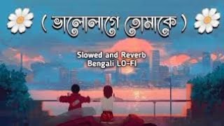 ভালোলাগে তোমাকে। bhalolage tomake.bangla song.solo lofi song.
