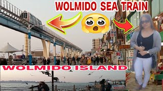 THE MOST TOURIST ATTRACTION IN WOLMIDO ISLAND | SEA TRAIN SOUTH KOREA | roger Korea official