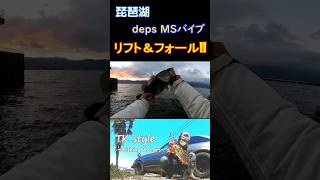 メジャースポットでMSバイブをリフト\u0026フォールさせると？？#バス釣り#琵琶湖#おかっぱり#deps#MSバイブ