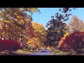 Scenic Drive - Fall Foliage in Upstate New York | Niskayuna, Schenectady New York