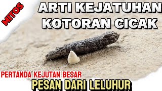 MITOS ARTI KEJATUHAN KOTORAN CICAK | MENURUT KEPERCAYAAN LELUHUR RAKYAT INDONESIA.