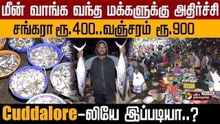 மீன் வாங்க வந்த மக்களுக்கு அதிர்ச்சி..சங்கரா ரூ.400..வஞ்சரம் ரூ.900..! #cuddalore