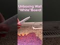 Unboxing Cat Wall “White”Board!! #unboxing  @MaddiexMushi