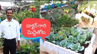 Dr శ్రీధర్ గారి Terrace garden, ఎన్నో సరికొత్త ఆలోచనలు innovative ideas #gardening #OrgGardener