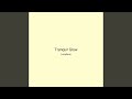 Tranquil Glow