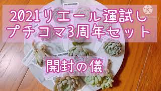 2021リエール運試し　プチコマ3周年セット　開封の儀❣️