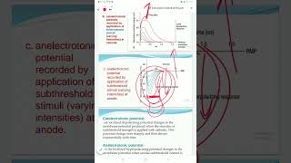 Lecture 5 part (2) electrotonic potential