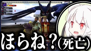 【MHXX】超特殊ホロロホルルにひたすらはたき◯される抹茶【2024/8/9〜10】