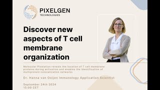 Discover new aspects of T cell membrane organization by Dr. Hanna van Ooijen