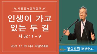 일산성결교회 주일낮(2024.12.29.) / 인생이 가고 있는 두 길 / 시편 52편 1절 ~ 9절