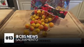 Rainier cherries | Lunch Break with Michael Marks