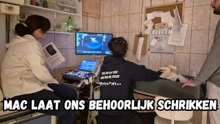 Mac laat ons behoorlijk schrikken | 'T blije ei in Hongarije | Vlog #23