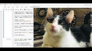 Python Tutorial: Finding Image Coordinates with Tkinter and PIL