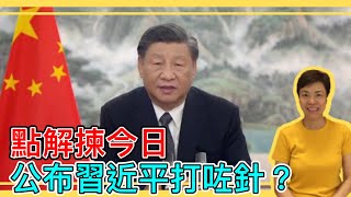 點解揀今日公布習近平打咗針？李慧玲Live