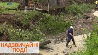 Испорченный урожай и затопленные села: непогода на Прикарпатье и Буковине